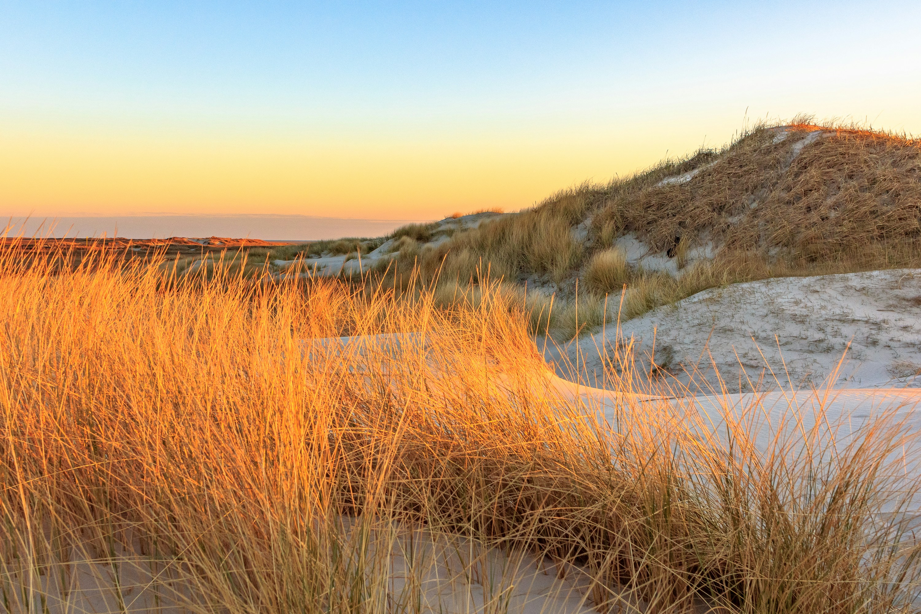 Coastal landscape in South Dennis MA