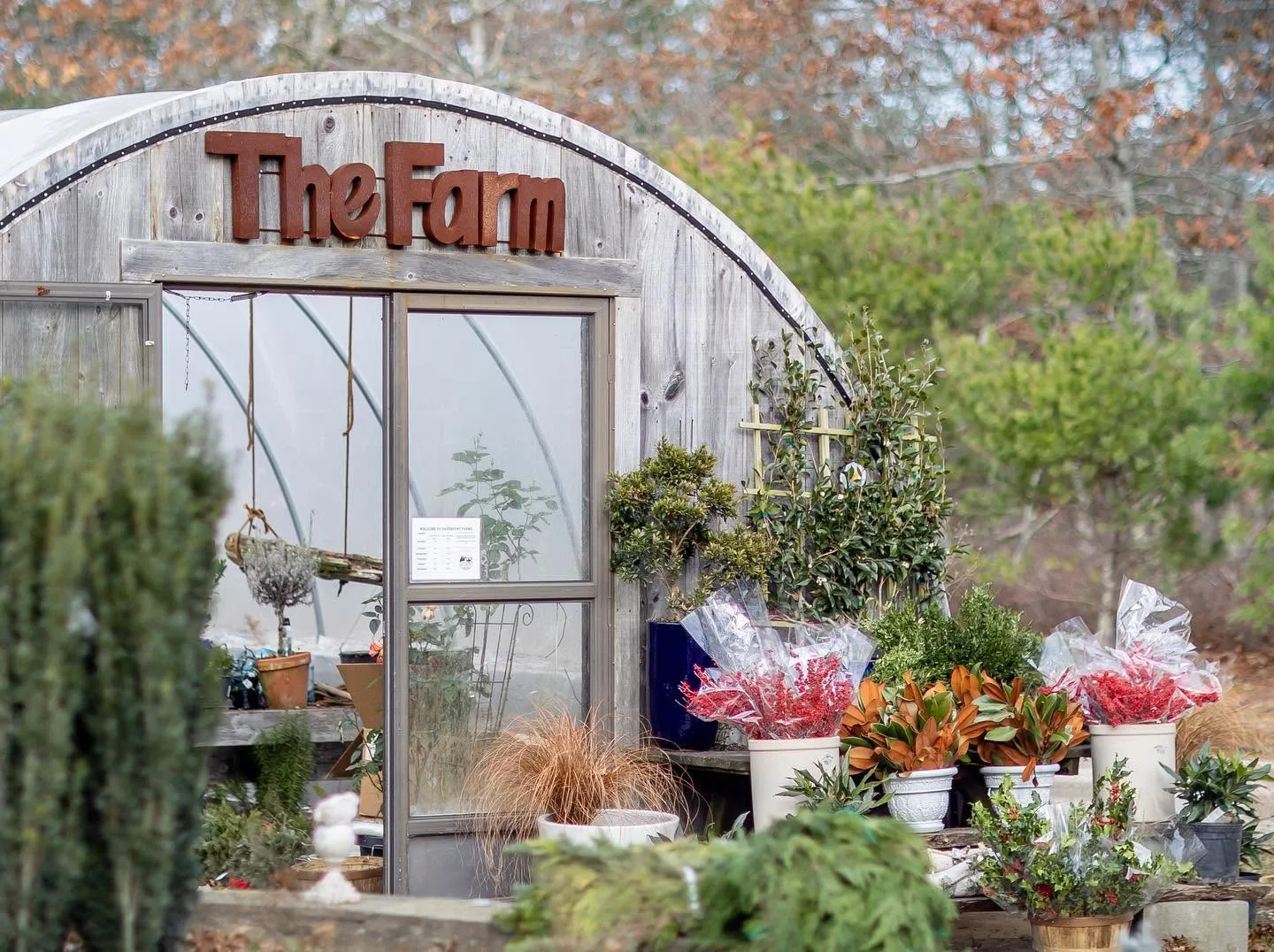 The Farm greenhouse building at Davenport Farms, Brewster, Cape Cod, with potted evergreens and seasonal arrangements out front