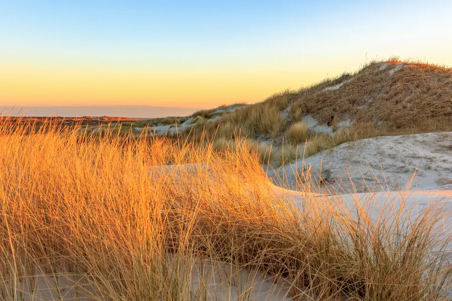 Beach grass and dunes on a Cape Cod shoreline
