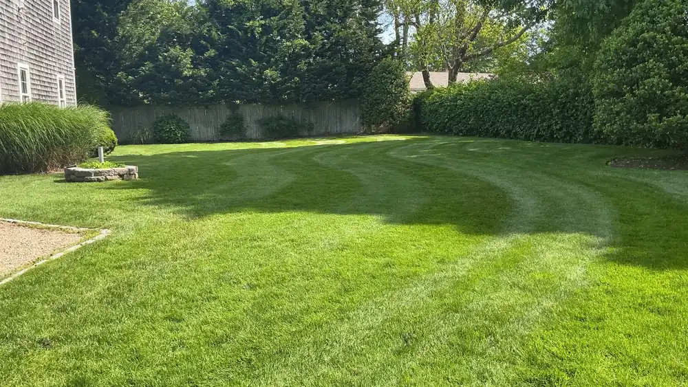 Striped, deep-green backyard lawn on a Cape Cod property after a season of feeding