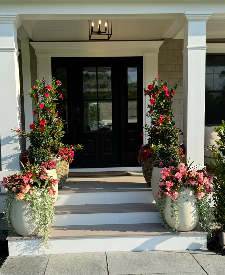 Symmetrical front porch planters framing a Cape Cod entryway