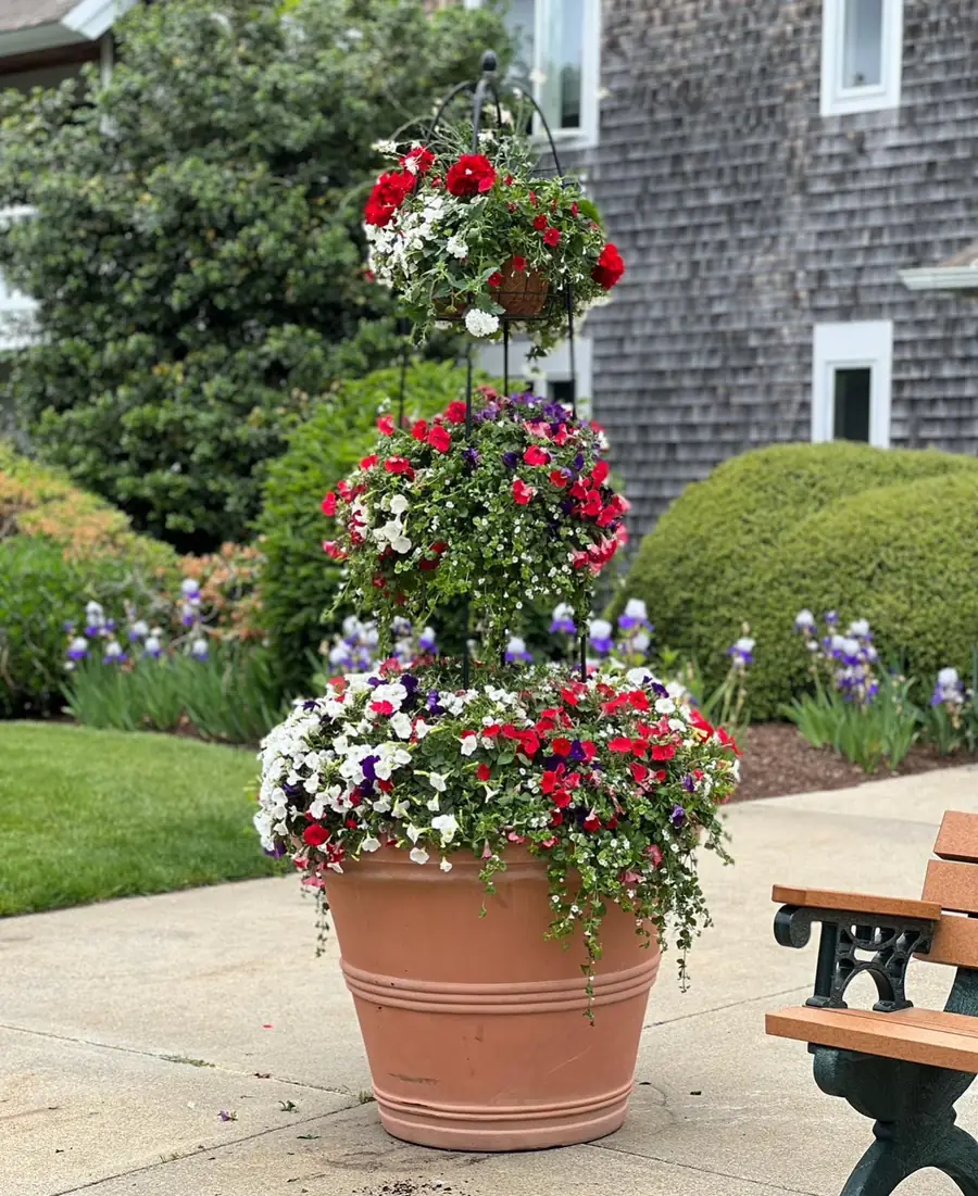 Tiered terracotta planter with red, white and purple petunias on Cape Cod
