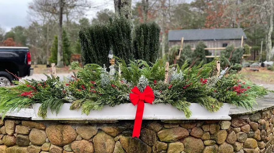 Winter window box with fresh evergreen boughs, berries and a red bow