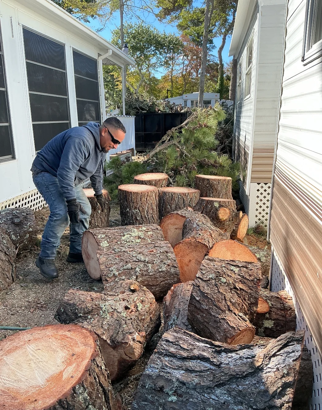 Crew member cutting a large removed tree into rounds on a Cape Cod property