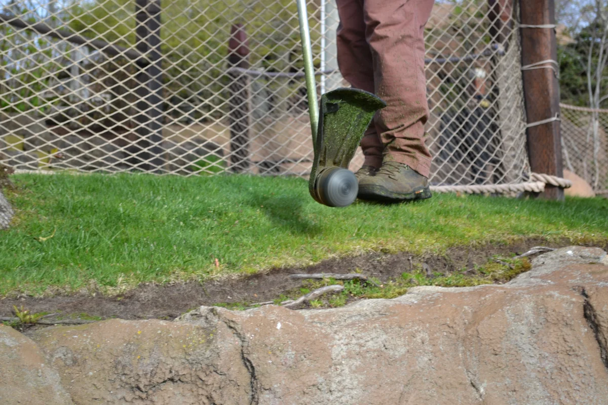 String trimmer edging along a walkway on a Cape Cod property