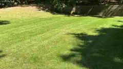 Sloped yard