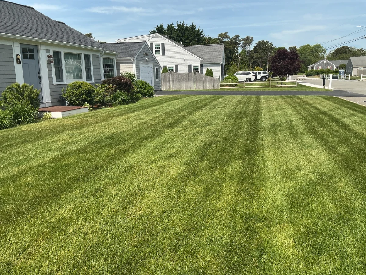 Lawn care in Dennis MA