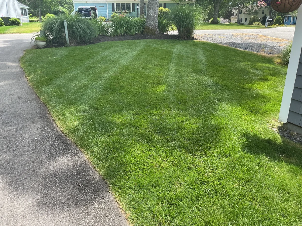 Lawn maintenance in Dennisport MA