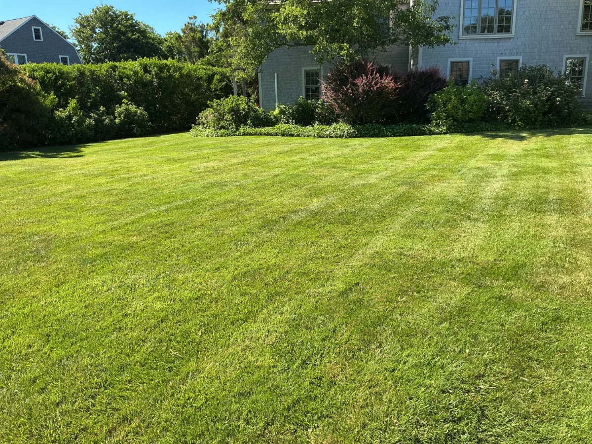 Lawn care in East Dennis MA
