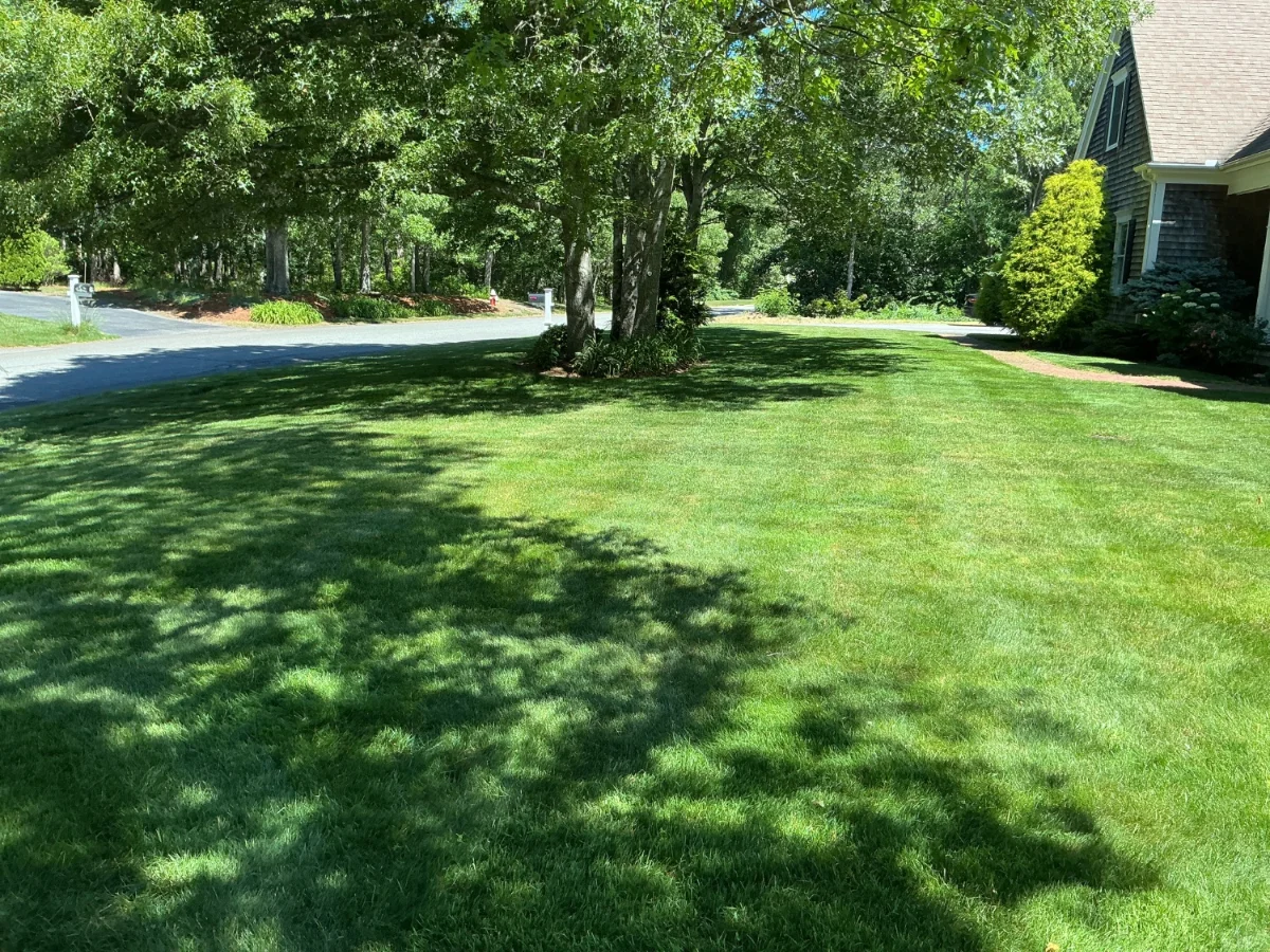 Landscaping in West Dennis MA