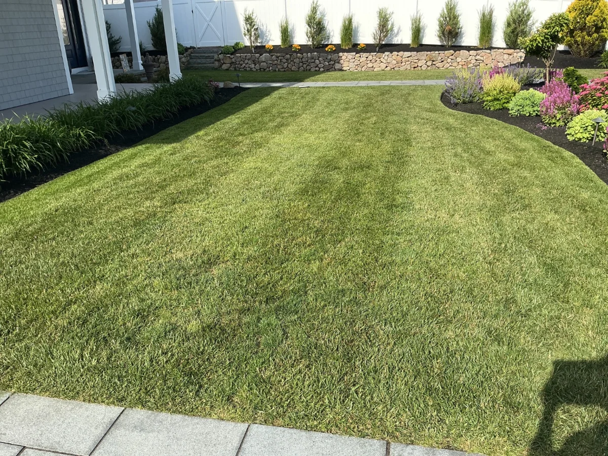 Maintained lawn in Dennisport MA