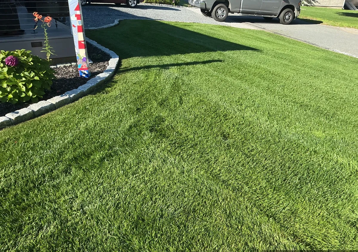 Thick green front lawn beside a cobblestone-edged planting bed in Harwich MA