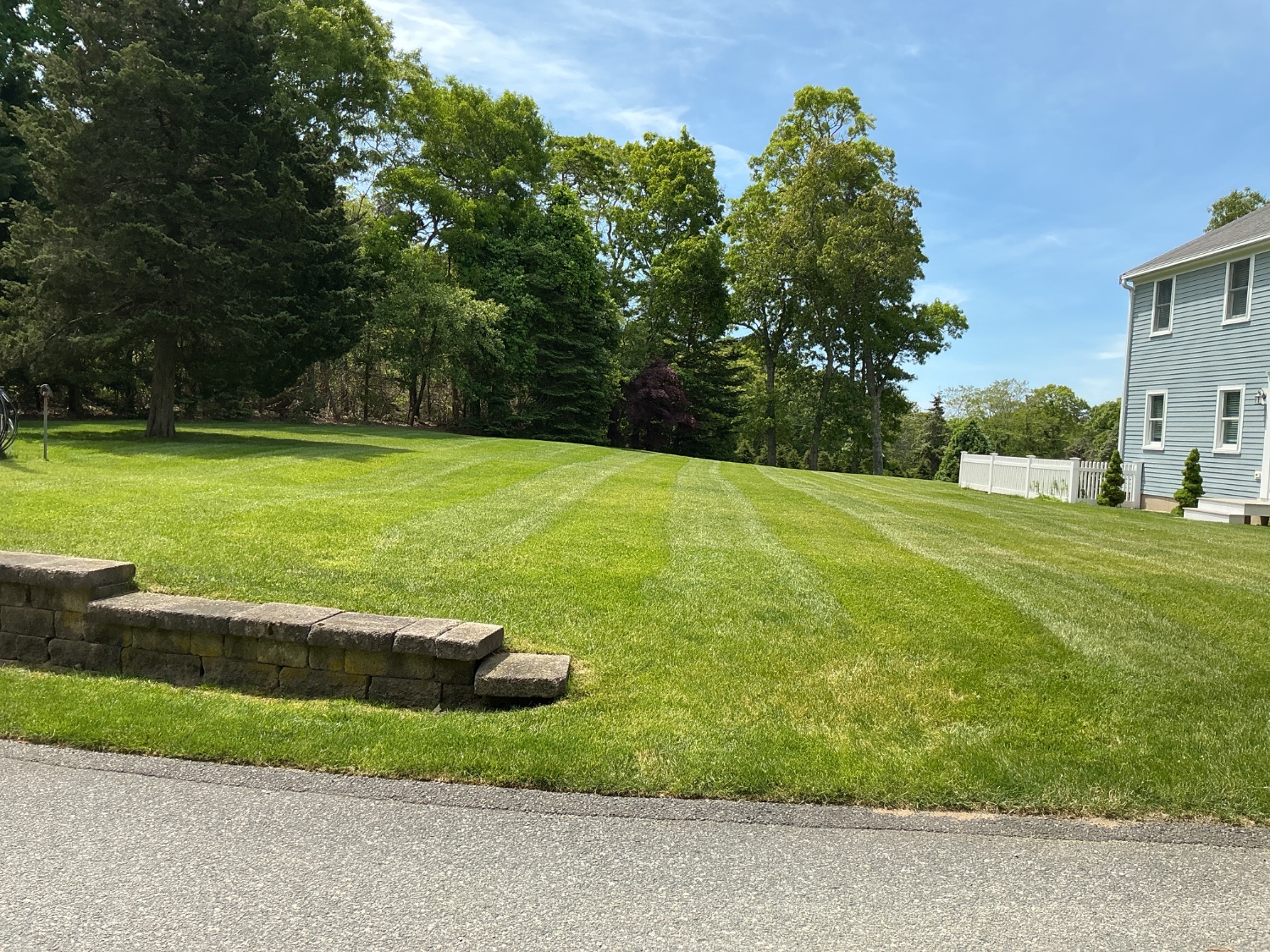 Lawn care in Orleans MA