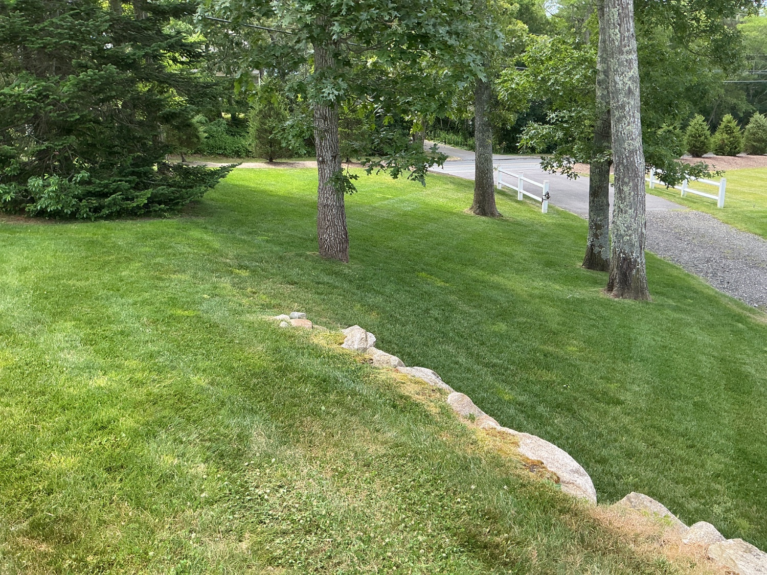 Landscape services in Orleans MA