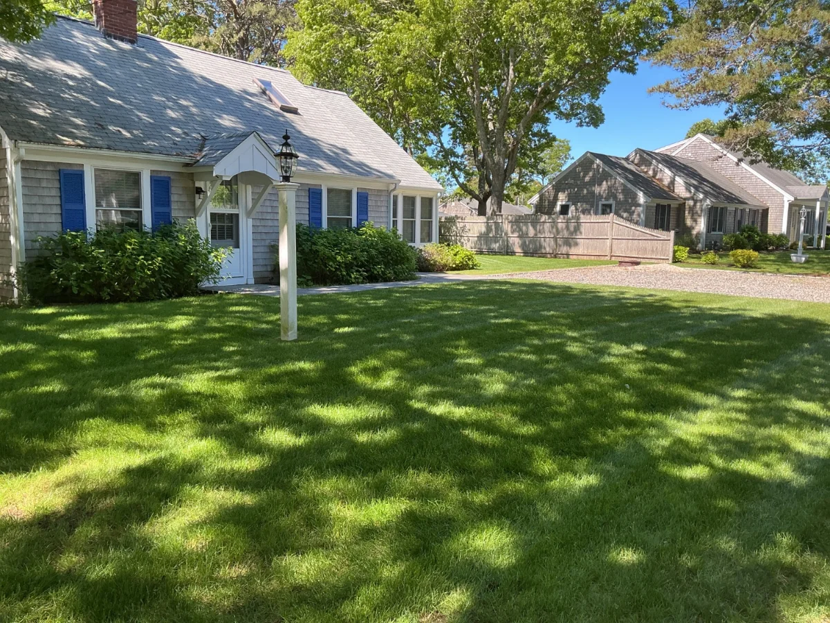 Healthy maintained lawn in South Yarmouth MA