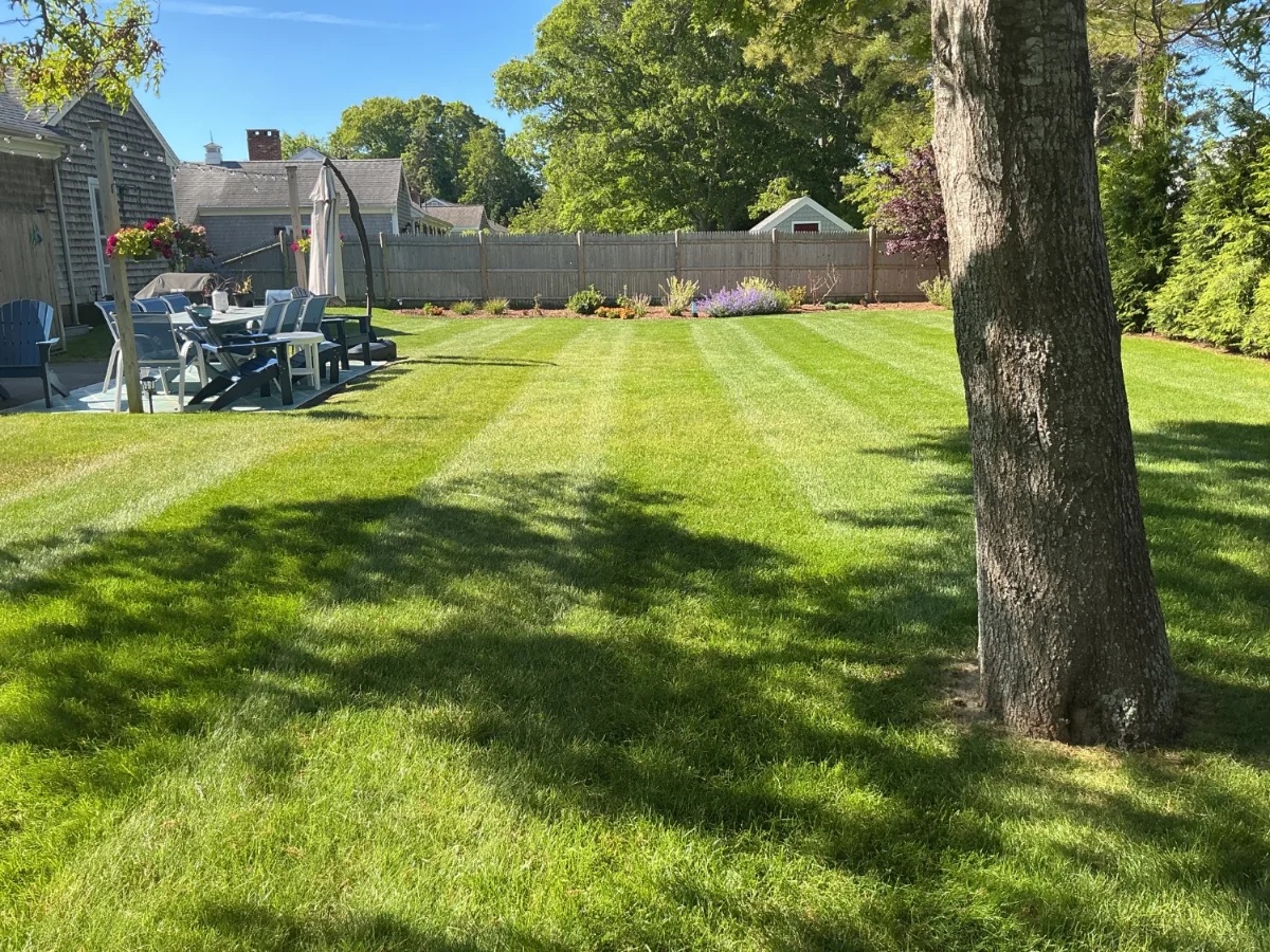 Landscaped backyard lawn in South Yarmouth MA