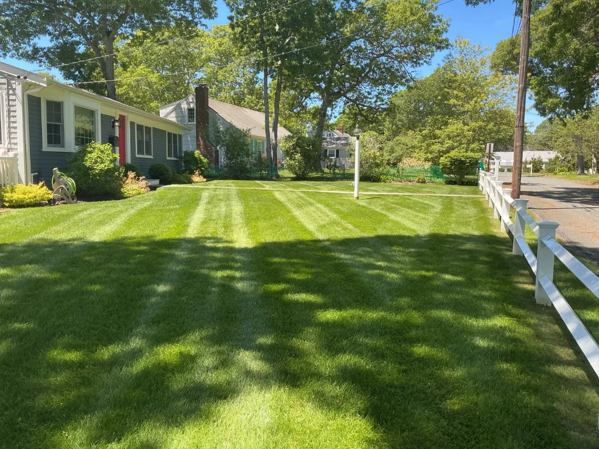Front lawn landscaping at a South Yarmouth MA home