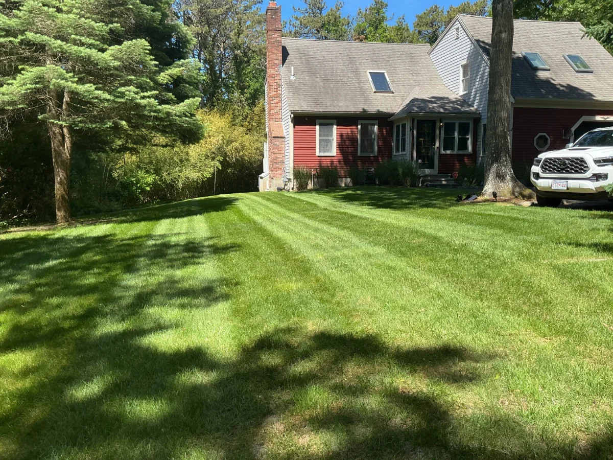 Landscaped side lawn in West Yarmouth MA